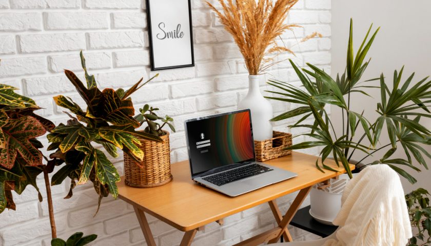 bureau décoré avec des plantes